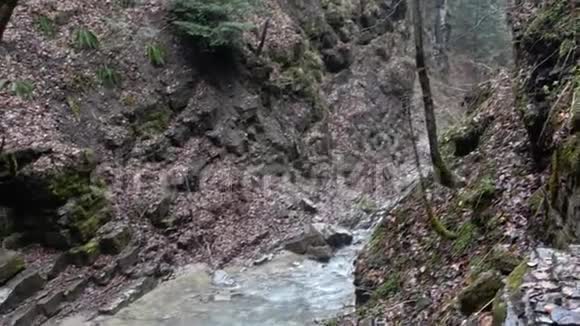 摩尼亚夫斯基瀑布视频的预览图