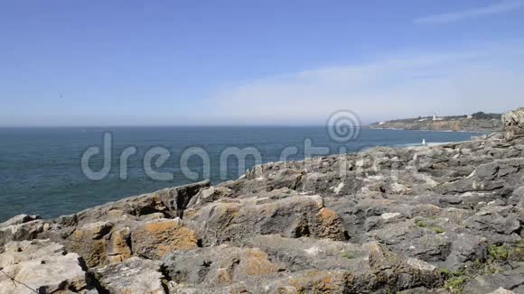 葡萄牙卡斯卡斯的悬崖视频的预览图