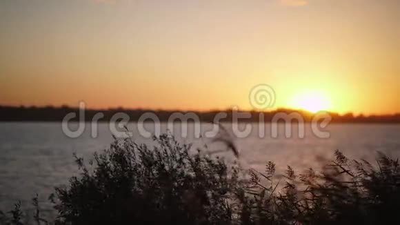 河边美丽的日落乡村的日落视频的预览图