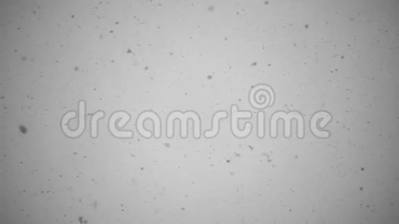 雪慢动作视频冬季背景视频的预览图