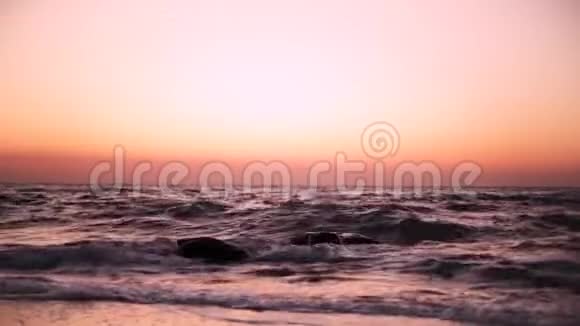 美丽的粉红色日落日出海面上完全平静飞翔的海鸥视频的预览图