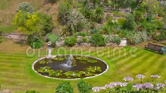 温莎城堡夏日花园视频的预览图