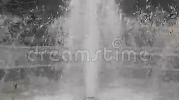 喷泉视频的预览图