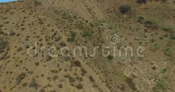 从墨西哥峡谷的飞机上4K航空景观视频的预览图