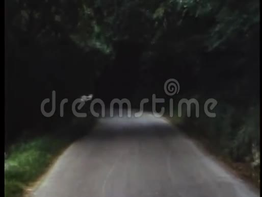 从行驶在乡村道路上的汽车上可以看到视频的预览图