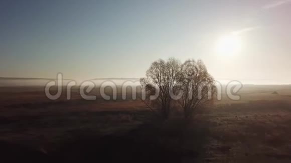 4K航天角度晴朗多雾的早晨过江雾在阳光下视频的预览图