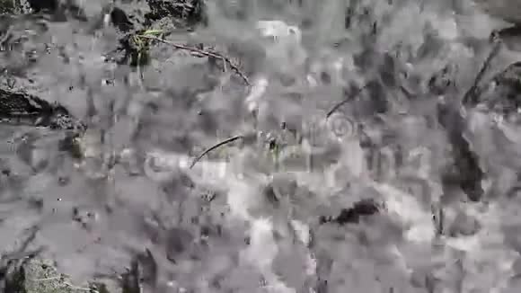 潺潺的小溪里有大石头视频的预览图