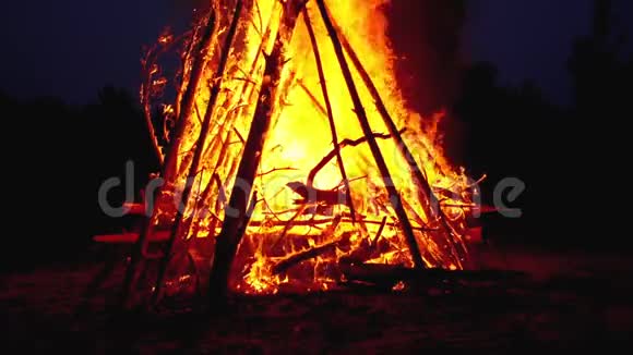 大篝火的原木燃烧在森林的夜晚180fps的慢速运动视频的预览图
