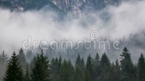 雾烟林山视频的预览图