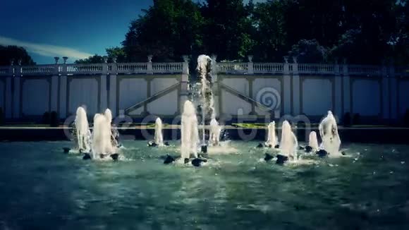 城市公园的喷泉视频的预览图