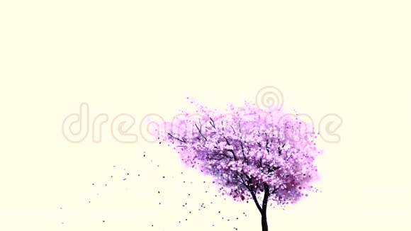 抽象的紫色樱花树叶子在白色的背景上从地上飞到树上无缝的环视频的预览图