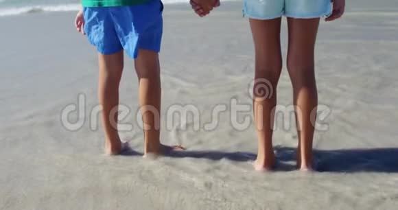 在阳光明媚的日子里兄弟姐妹们在海滩牵手视频的预览图