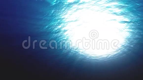 海底的海洋视频的预览图