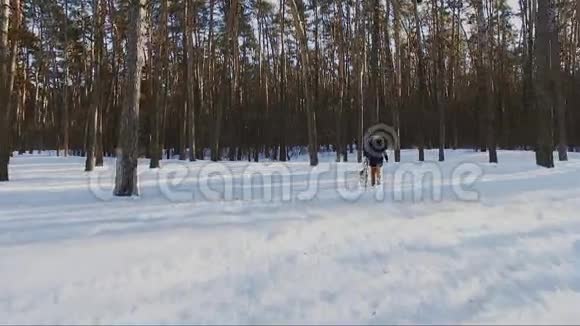 冬天森林里和狗一起散步的年轻女子视频的预览图