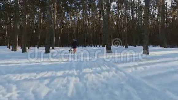冬天森林里和狗一起散步的年轻女子视频的预览图