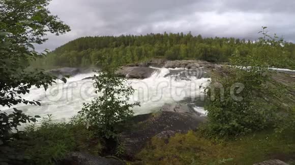 夏末洪水时湍急的河流瀑布森林茂密水流缓慢视频的预览图