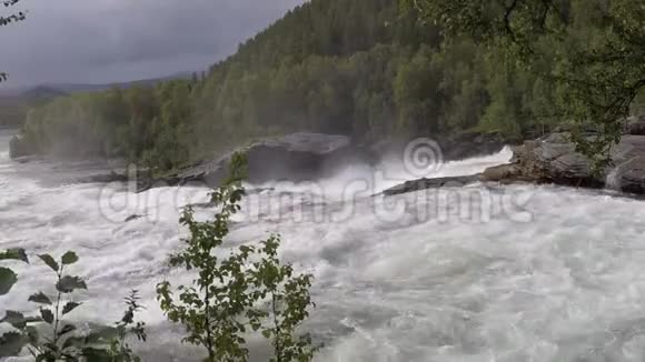 夏末洪水时湍急的河流瀑布森林茂密水流缓慢视频的预览图