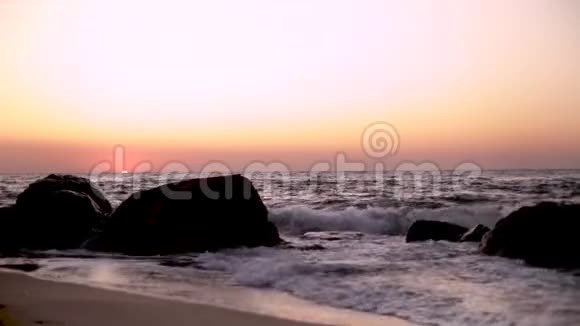 美丽的粉红色日落日出海面上完全平静飞翔的海鸥视频的预览图