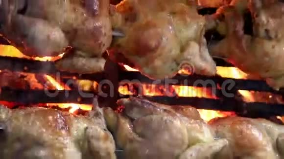 把整只烤鸡都烧了视频的预览图
