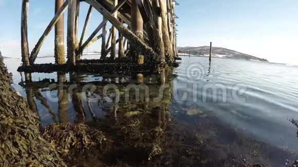 古老的木桥下腹部覆盖着古老的藤壶有平静的海浪和阳光视频的预览图