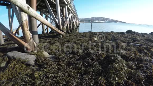 古老的木桥下腹部覆盖着古老的藤壶有平静的海浪和阳光视频的预览图
