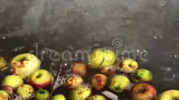 秋天的苹果漂浮在水面上视频的预览图