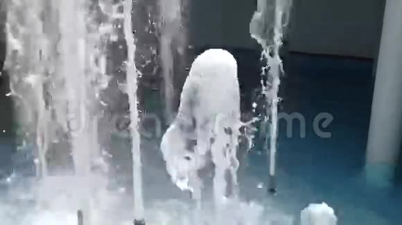喷泉有水的新鲜和飞溅视频的预览图