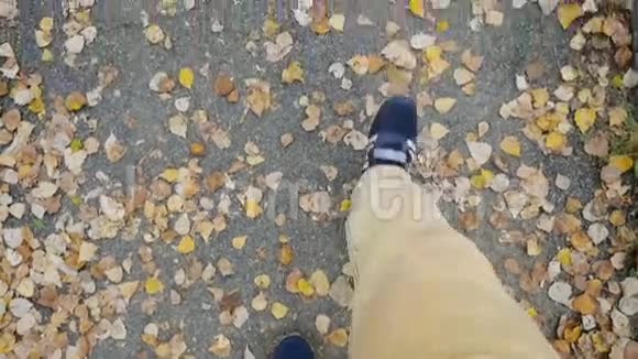 秋天季节的顶部在时髦风格的鞋子在慢动作1920x1080视频的预览图
