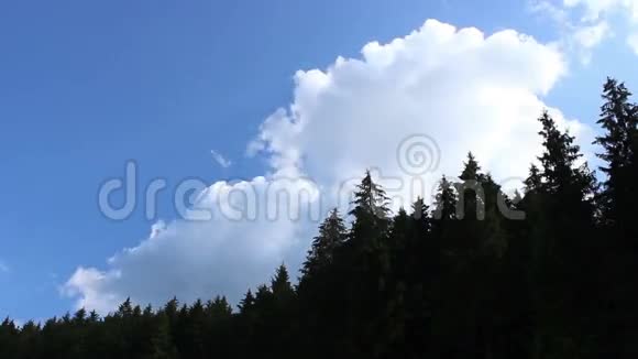 森林外的蓬松白云视频的预览图