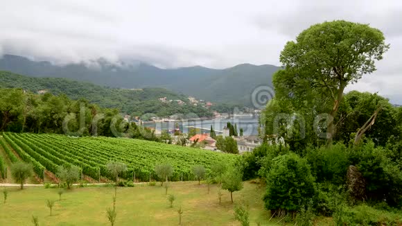 浪漫的地中海云雾景观黑山Kotor湾景观视频的预览图