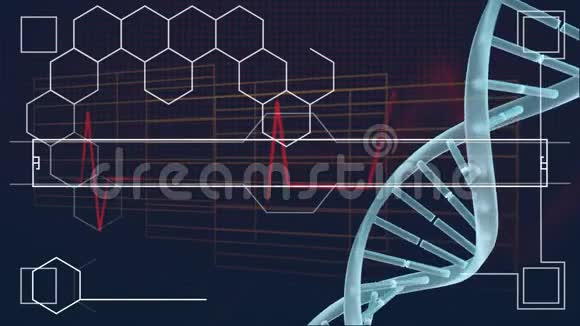 用心跳线旋转的DNA视频的预览图