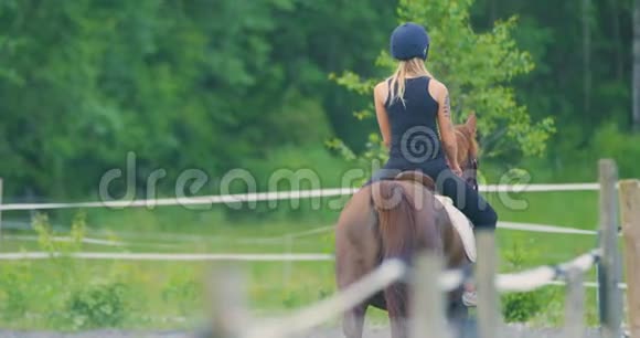 美丽的年轻女子骑着她的阿拉伯马在农场视频的预览图