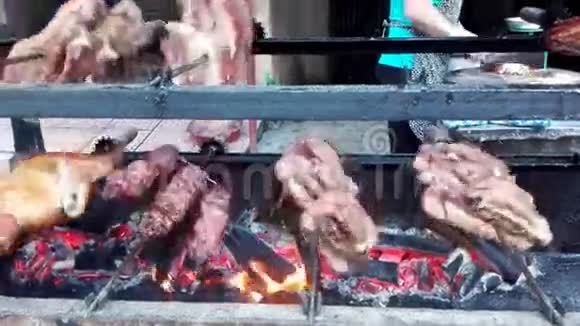 在木炉上烤猪肉和鸭肉视频的预览图