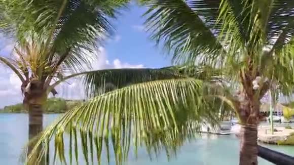 巴亚希贝泻湖和旅游港视频的预览图