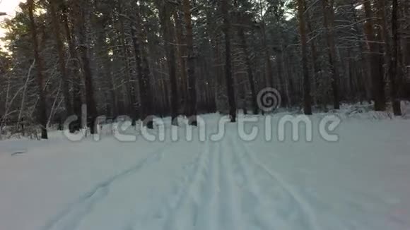 冬季雪上滑雪道混合森林视频的预览图