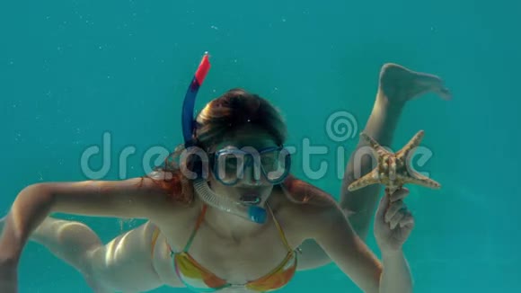 戴着浮潜的女人在水下抱海星视频的预览图