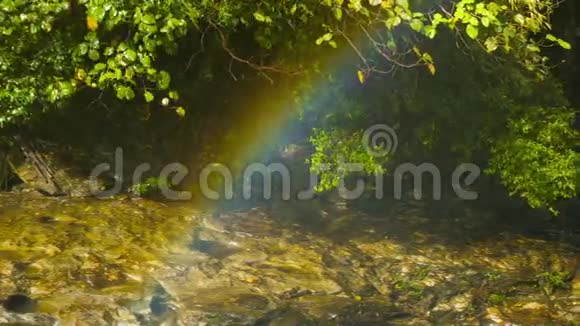 彩虹在森林瀑布附近的小溪上视频的预览图