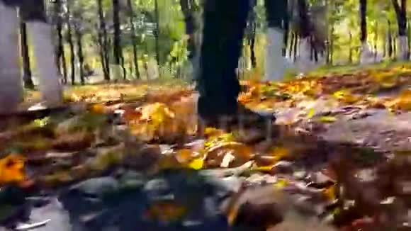 在秋天的公园里人们走得很近视频的预览图