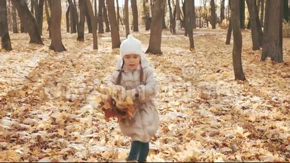 快乐的小女孩在公园里玩秋叶视频的预览图