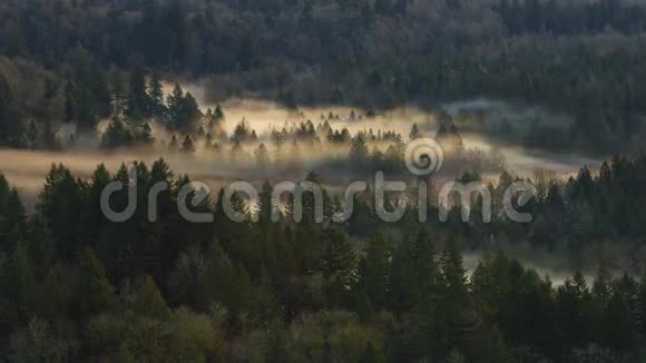 从桑迪或琼斯鲁德的角度出发穿越弯曲河流的厚滚雾超高清晰度4k时间推移视频的预览图