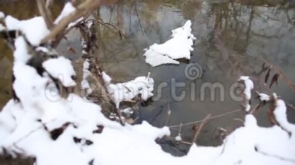 冰水在湍急的泉水中流淌雪在溪边的树枝上融化视频的预览图
