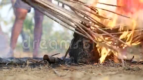 人们用燃烧的芦苇焚烧死动物视频的预览图
