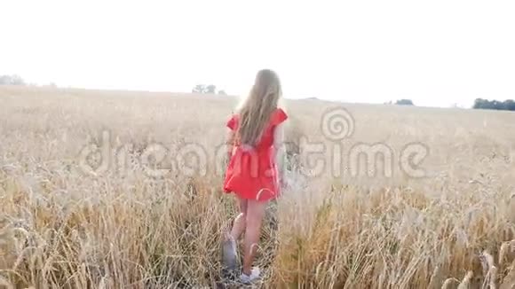 美丽的年轻女子在黄色的麦田里奔跑视频的预览图