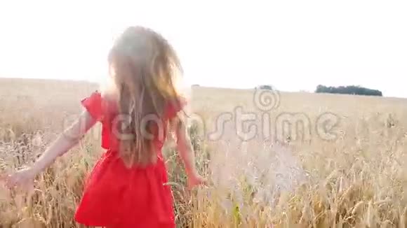 美丽的年轻女子在黄色的麦田里奔跑视频的预览图