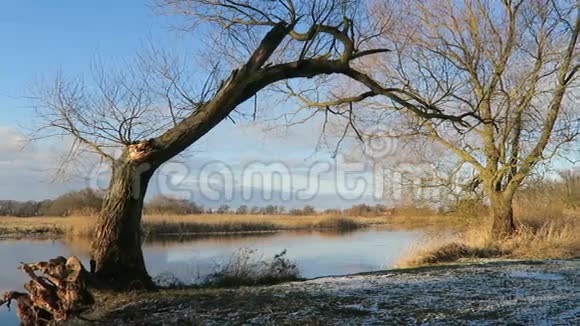 哈维尔河冬季景观一点点太阳和浮冰德国哈维尔兰视频的预览图