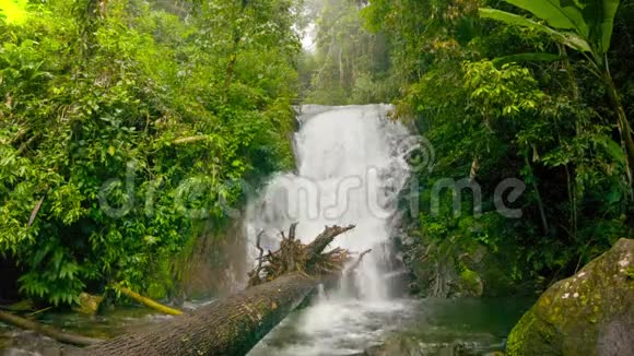 雨林中的小瀑布视频的预览图