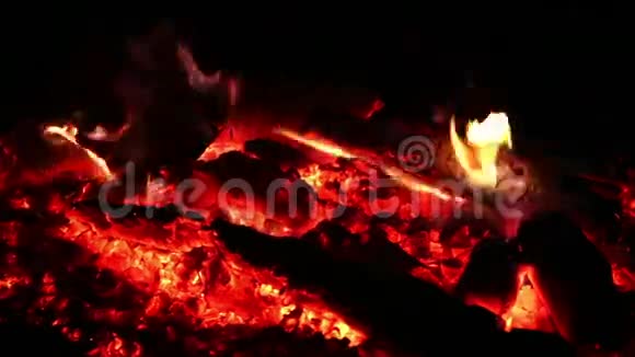 森林里的篝火视频的预览图
