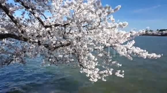 潮汐盆地的美丽日视频的预览图