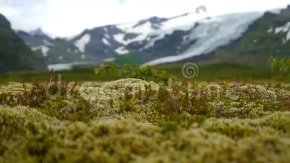 冰岛景观冰岛山脉全景视频的预览图