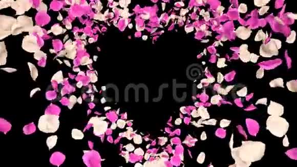 飞翔的浪漫的粉红玫瑰花瓣心阿尔法孤立回路视频的预览图